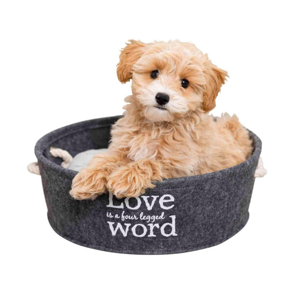 Cama para mascotas Lian Trixie 38395, ø37 cm, Gris